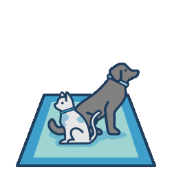MyMagicCarpet cat dog home puppy Sticker