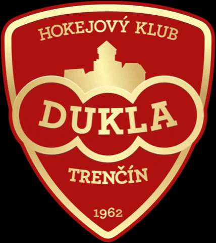 Hokej Dukla GIF by Individual training center