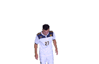 Golden Bears Sticker by Cal Athletics