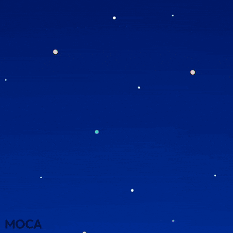 Lets Go Travel GIF by Moca Network