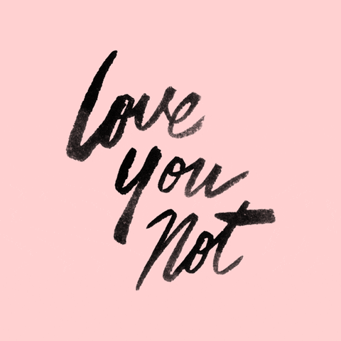 love you not valentines GIF by Hayden Davis