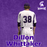 Baseball Warriors GIF by WinonaStateATH