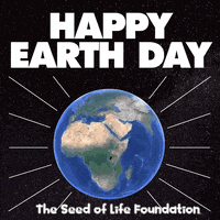 Happy Day GIF by The Seed of Life Foundation