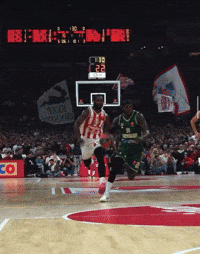 Crvena Zvezda GIF