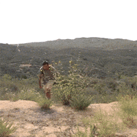Message Sending GIF
