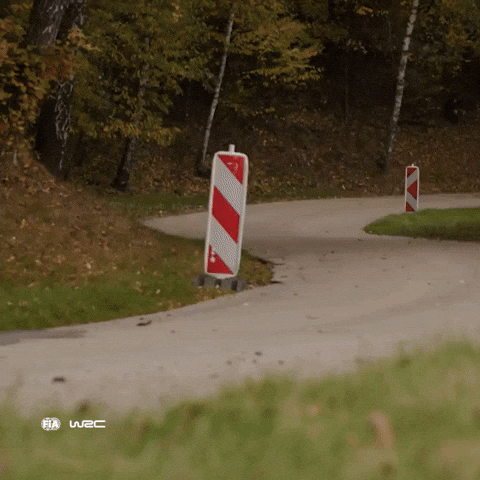 Racing Motorsport GIF by FIA World Rally Championship