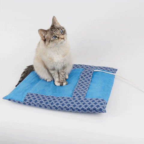 Cat Bed GIF by thecatball