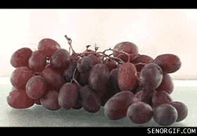grapes raisins GIF