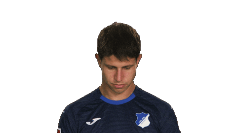 Look Up Tsg Hoffenheim Sticker by Bundesliga