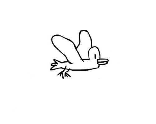 bird morph GIF by kraftundlicht
