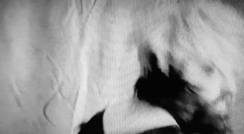 chuckmccarthy wig GIF