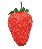 Strawberry Sticker by Bowery Farming