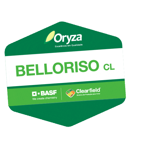 Arroz Sticker by BASF Soluções para a Agricultura