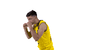 Ewe Baskets Basketball Sticker by EWE Baskets Oldenburg
