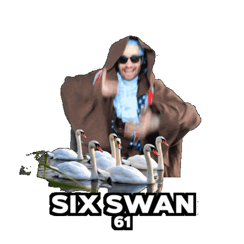 6 1 Swan Sticker