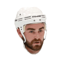 Skates Mudcats Sticker by TOUR Hockey