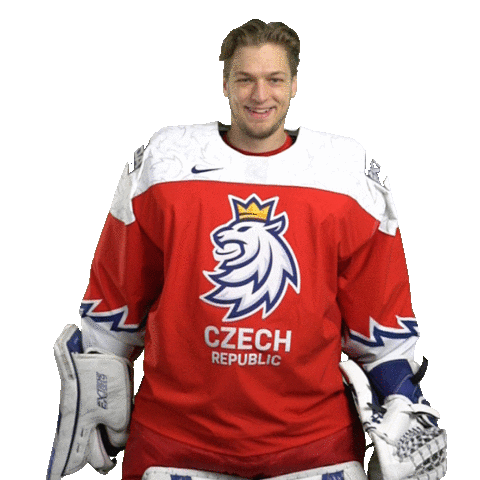 Celebration Hockey Sticker by Národní tým