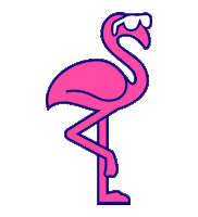 Pink Summer Sticker by Census