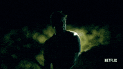bloodline season 2 GIF by Bloodline