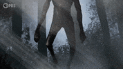 Halloween Forest GIF by PBS Digital Studios