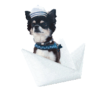 dog boat Sticker by Tales&Tails