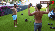Big Brother Reaction GIF by Big Brother Australia