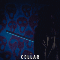 Haunted House Reaction GIF by Wildcard Distribution