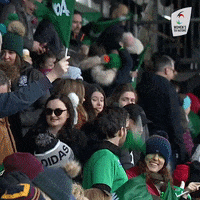 Womens6Nations fan fans womens six nations GIF