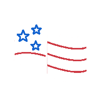 politics flag Sticker by USA TODAY