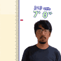 7 Foot 7Ft Sticker
