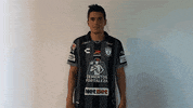 Ocupado Futbol Mexicano GIF by Club Pachuca Tuzos