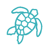 Turtle Sps Sticker