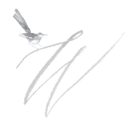 thewhitewren white wren the white wren the white wren blog Sticker