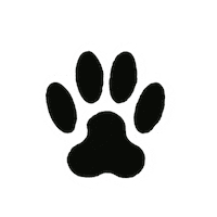 Coussinets Sticker by Papier Tigre