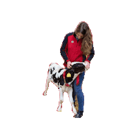 Urbancalffeeder red technology sustainable urban Sticker