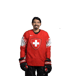 Ice Hockey Goal Sticker by International Ice Hockey Federation