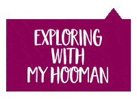 Love Dogs Photography Sticker by puppytales