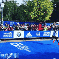 artiken happy world race victory GIF