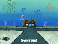 season 5 new digs GIF by SpongeBob SquarePants
