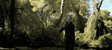 Sub Pop Running GIF by Sub Pop Records