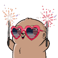 Independence Day Usa Sticker by Fugz Official