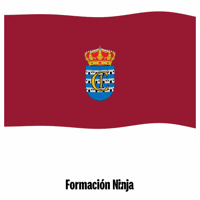 Castilla-La Mancha Flag GIF by Formación Ninja