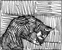 Falling Over Black And White GIF by Jimmy Arca