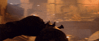 Cod Vanguard GIF by Call of Duty