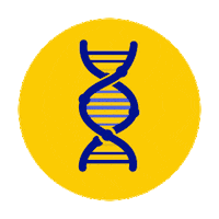 cajucreates science dna molecule caju Sticker