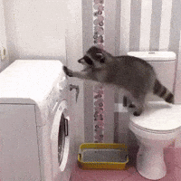 Climbing Fails GIF by JustViral