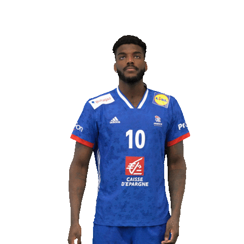 Dika Mem Dance Sticker by Fédération Française de Handball