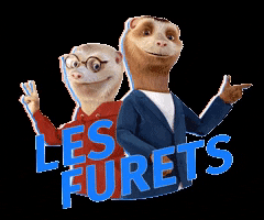Lesfuretsherveetfrancois GIF by lesfurets