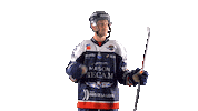Sylvestre Sticker by Les Ducs d'Angers