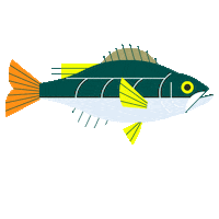 ocean fish Sticker by Take Me Fishing